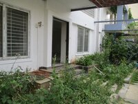 Garden 1