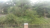 Balcony 2