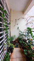 Balcony 1