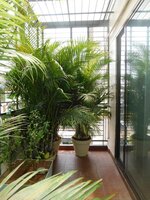 Balcony 2