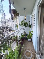 Balcony 1