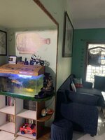 Hall 1