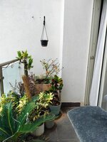 Balcony 1