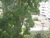 Balcony 1