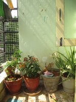 Balcony 1