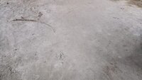 parkings 1