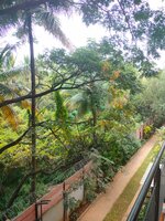Balcony 3