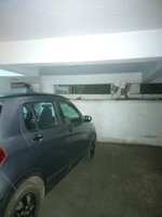 parkings 1
