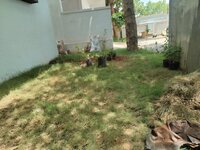 Garden 1