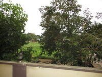 Balcony 1