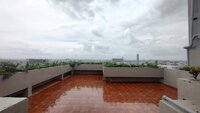 Terrace 1