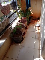 Balcony 2