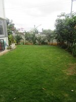 Garden 1