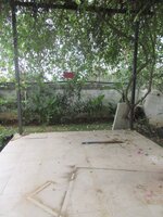 Garden 1