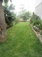 Garden 1