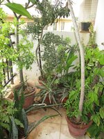 Balcony 3