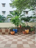 Garden 1