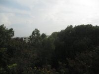 Balcony 1