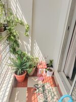 Balcony 1