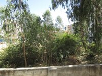 Balcony 3