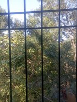 Balcony 2