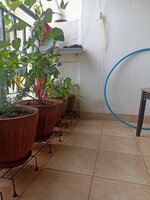 Balcony 1