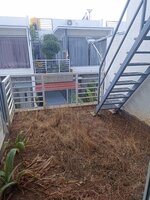 Garden 1