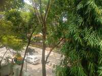 Balcony 1