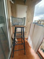 Balcony 1
