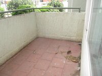 Garden 1