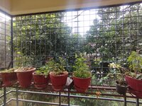 Balcony 1