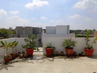 Terrace 1
