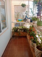Balcony 1