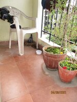 Balcony 1