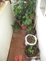Balcony 1