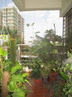 Balcony 1
