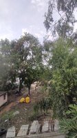 Terrace 1