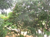 Balcony 1