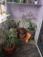 Balcony 1