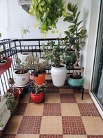 Balcony 1