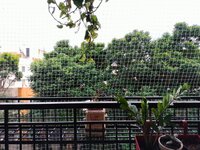 Balcony 1