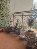 Balcony 1