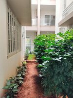 Garden 1