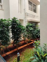 Garden 1