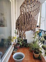 Balcony 2
