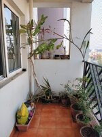 Balcony 1