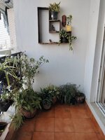 Balcony 1