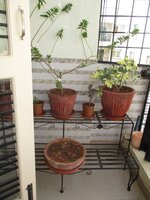 Balcony 1