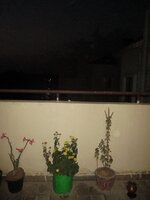 Terrace 1