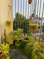 Balcony 2